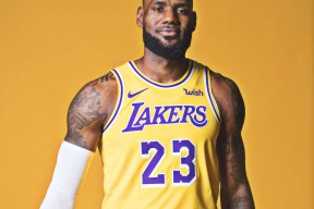 爱游戏赛事直播 - 詹姆斯回归赛场，出色防守首场状态亮眼，DWG观众沸腾！